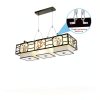 Vigtayue Adjustable Galvanized Light Suspension Cable Kit-4